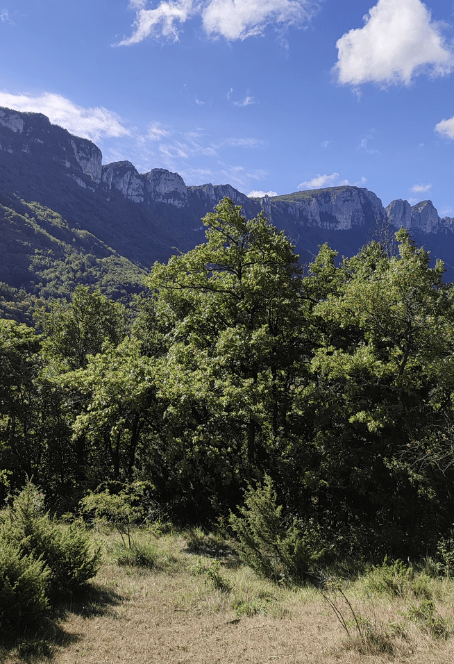 Cyclo Barbières Loisirs