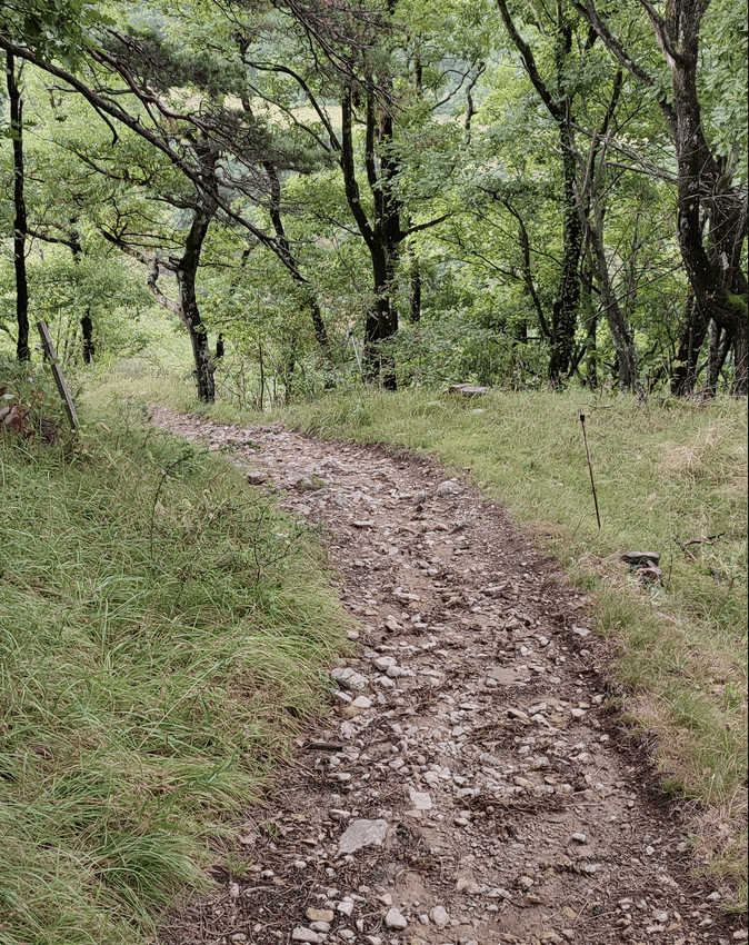 Cyclo Barbières Loisirs